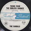 The Sandals - Theme From The Endless Summer