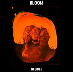 Download Bloom - Besides