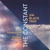 escuchar en línea Jim Black Trio - The Constant