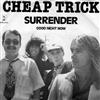 lataa albumi Cheap Trick - Surrender