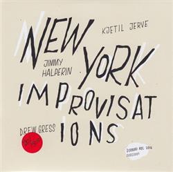 Download Kjetil Jerve, Jimmy Halperin, Drew Gress - New York Improvisations