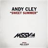 Album herunterladen Andy Cley - Sweet Summer