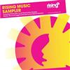 ladda ner album Various - Rising Music Sampler