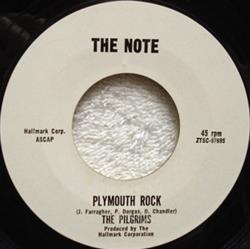 Download The Pilgrims - Plymouth Rock