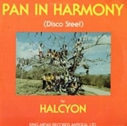 Download Halcyon - Pan In Harmony Disco Steel