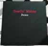 descargar álbum Howlin' Widow - Demo