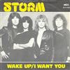 lataa albumi Storm - Wake Up