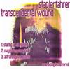 last ned album staplerfahrer - Transcendental Wound