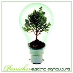 Download Punisher - Electric Agriculture Part 1