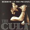 Album herunterladen The Cult - Rebirth Of The Phoenix