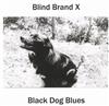 télécharger l'album Blind Brand X - Black Dog Blues