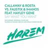 last ned album Callaway & Rosta Vs Faustix & ImanoS Feat Hayley Gene - Say What You Want