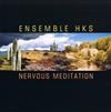 last ned album Ensemble HKS - Nervous Meditation