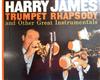 Album herunterladen Harry James - Trumpet Rhapsody And Other Great Instrumentals