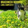 Album herunterladen Various - Brassneck Records Label Sampler 1