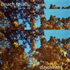 Beach Fossils - Daydream